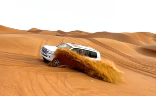 standard desert safari