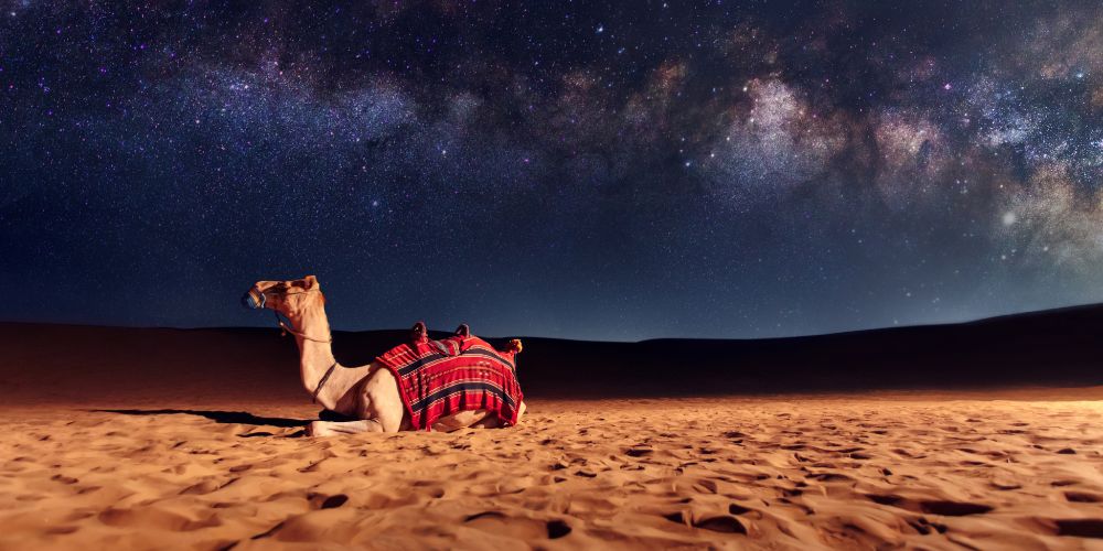 Dubai Safari with Entertainment: Magic of Arabian Nights